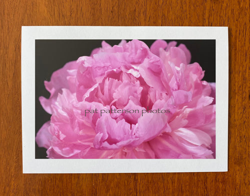 Peony Pink