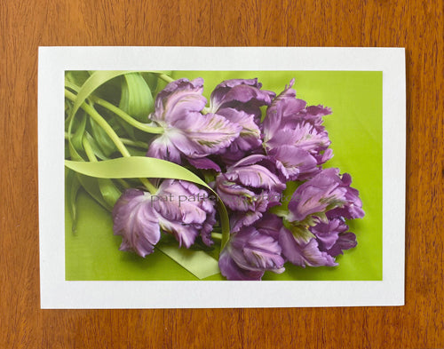 Purple Tulips