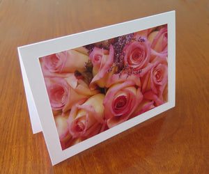 Pink Roses