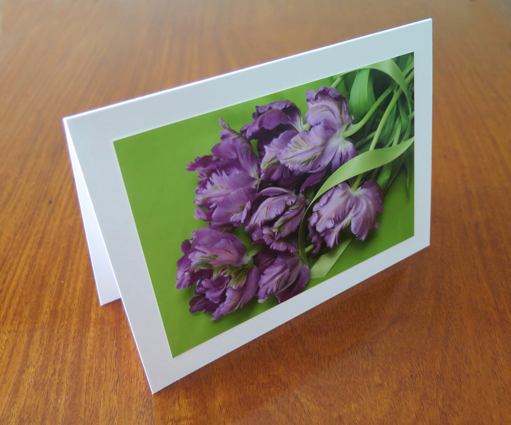Purple Tulips