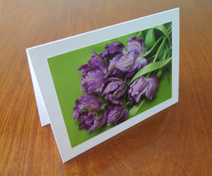 Purple Tulips
