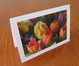 Tulips